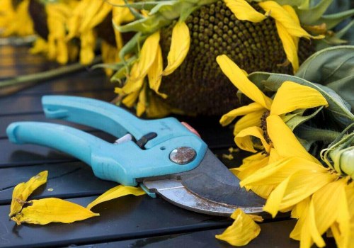The Essential Tools for Seasonal Tree Care: A Professional's Perspective